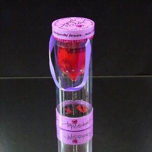 Sexy and Single Wine Glass Hand Painted Barware